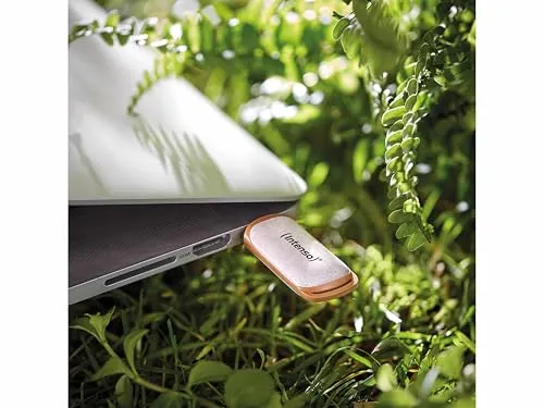 Intenso Green Line 64GB 4