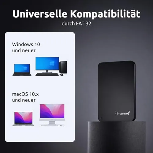 Intenso Memory Case 4