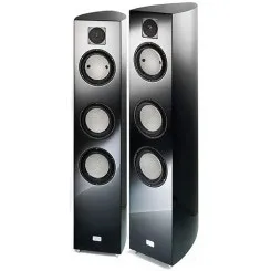 Isophon Cassiano II D