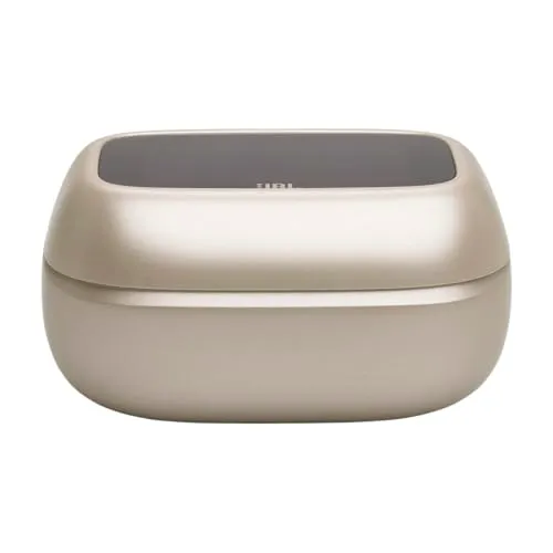 JBL Live Flex
