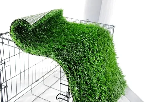 Jeamis Hundetoilette 3
