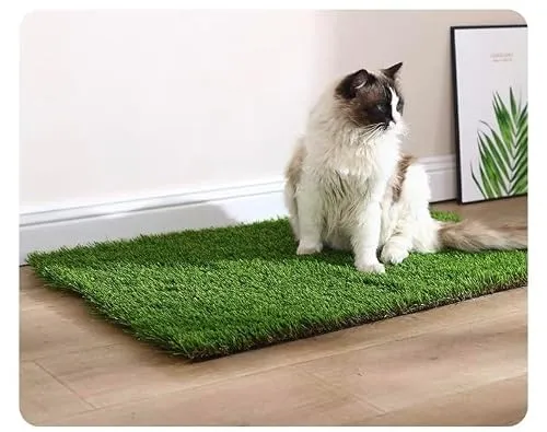 Jeamis Hundetoilette 6