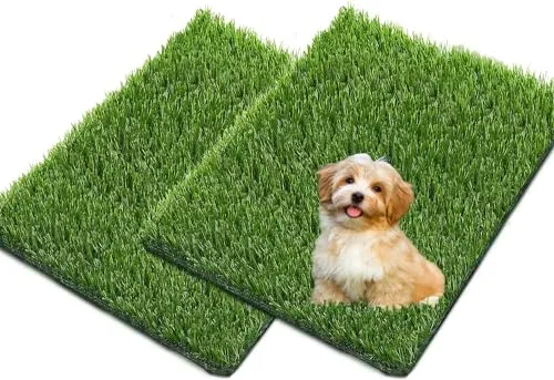 Jeamis Hundetoilette 5