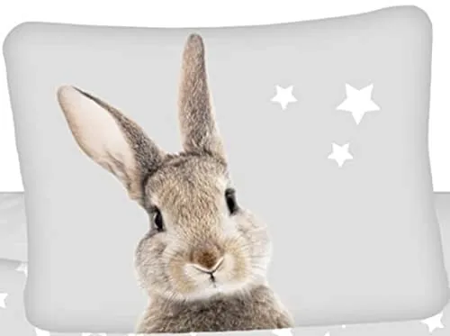 Hase