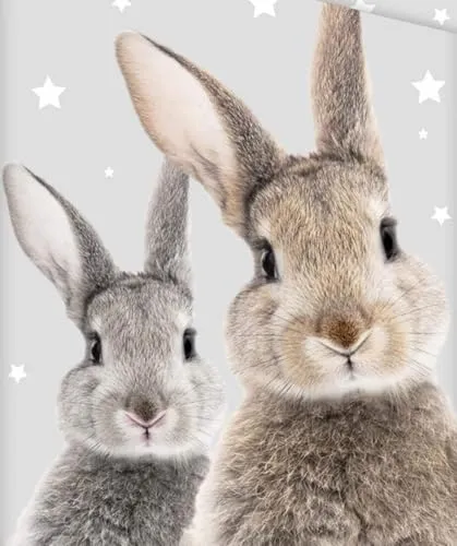 Jerry Fabrics Hase 3