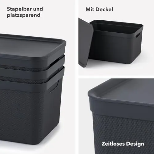 jive Aufbewahrungsbox 6