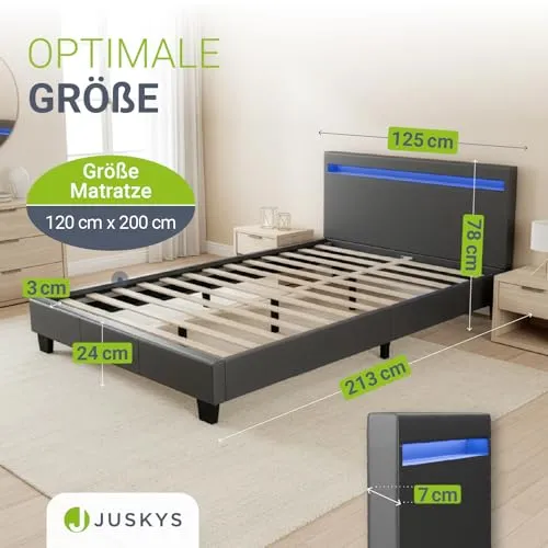 Juskys Paris 2