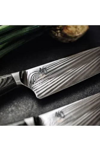 KAI Shun Nagare 2