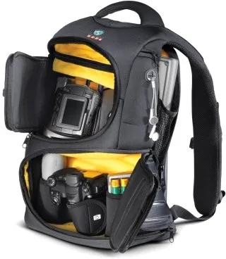 KATA Sensitivity V 2