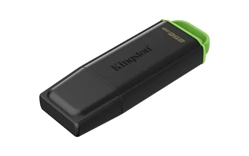 Kingston DataTraveler 256GB 2