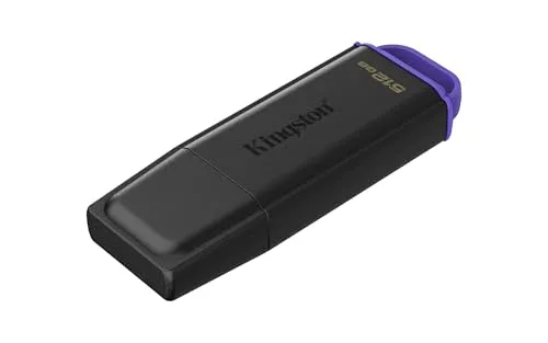 Kingston DataTraveler Gen 1 2