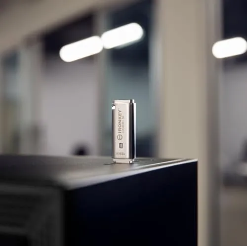 Kingston IronKey Locker+ 50 2