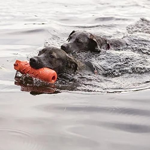 KONG Dog Training Dummy 2