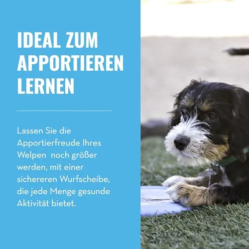 KONG Puppy Flyer 3