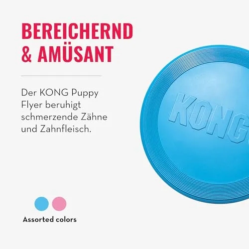 KONG Puppy Flyer 6