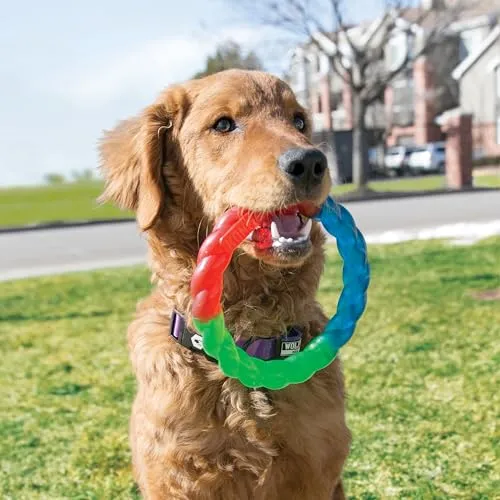 KONG Twistz Ring 2