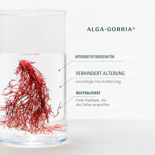 Laboratoires de Biarritz Algamaris 5