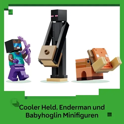 LEGO 21584 4