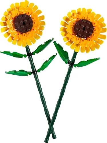 LEGO Botanicals 40524 7