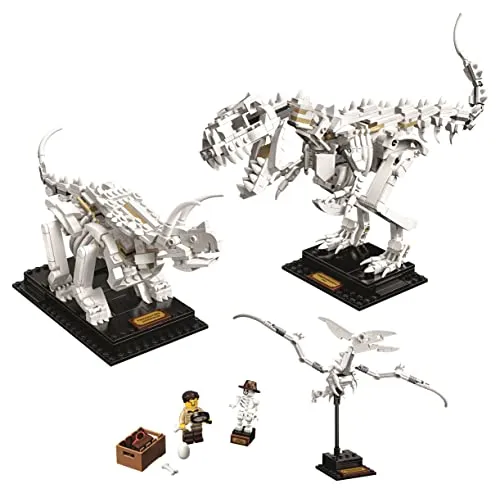 LEGO Ideas 21320