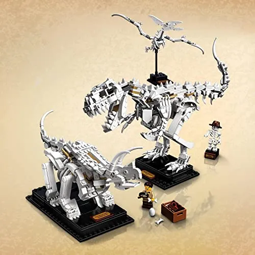 LEGO Ideas 21320 4