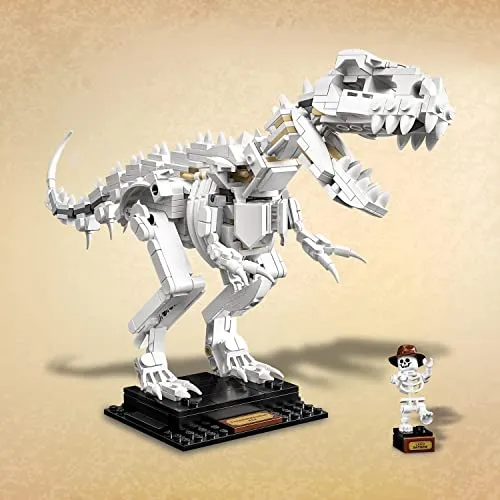 LEGO Ideas 21320 5