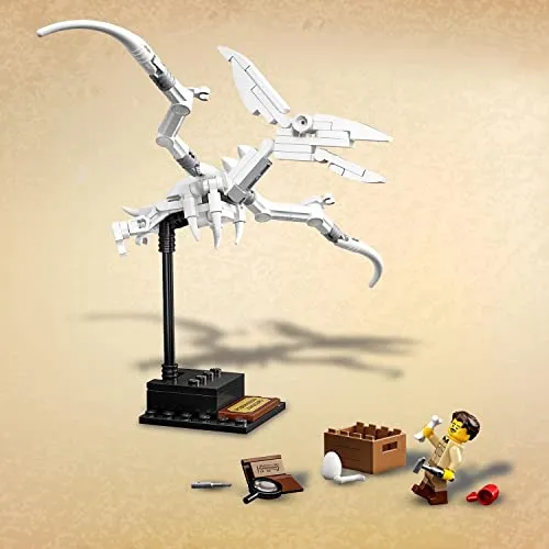 LEGO Ideas 21320 6