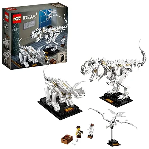 LEGO Ideas 21320 2