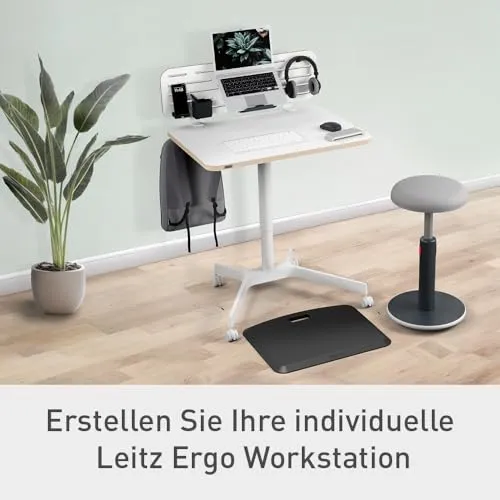 Leitz Ergo 3