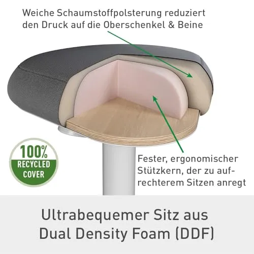 Leitz Ergo Active 2