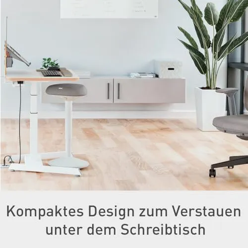Leitz Ergo Active 5