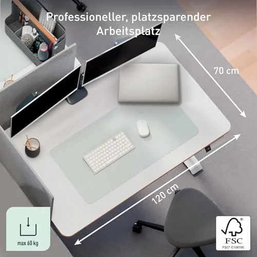 Leitz Ergo Compact 2