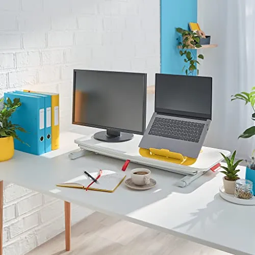 Leitz Ergo Cosy 2