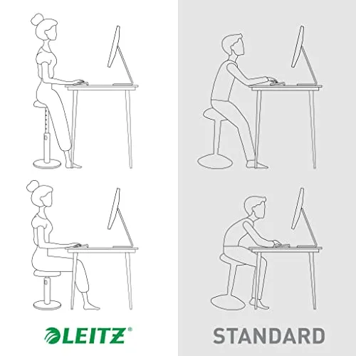 Leitz Ergo Cosy 5