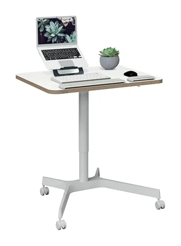 Leitz Ergo