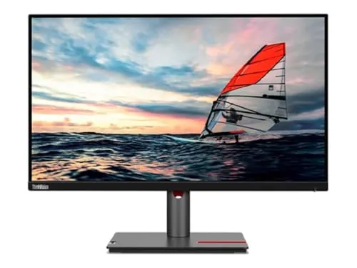 Lenovo ThinkVision P25i-30 2