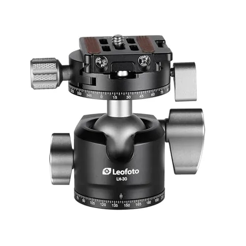 Leofoto LS-284C Pro 2