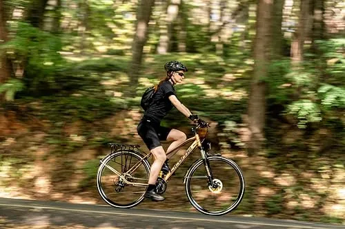 Licorne Bike Premium Touring 2