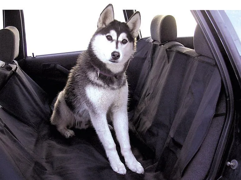 Walser Hundedecke Nero