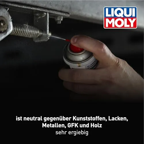 Liqui Moly Camping Multispray 2