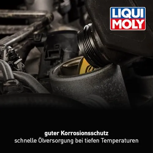 Liqui Moly Kompressorenöl 3