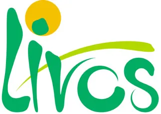 Livos Domo Universalkleber