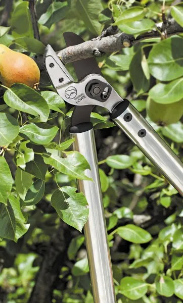 Löwe Astschere 20.080 3