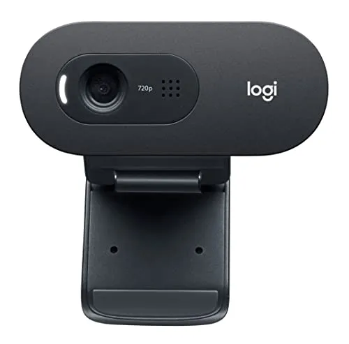 Logitech C505e