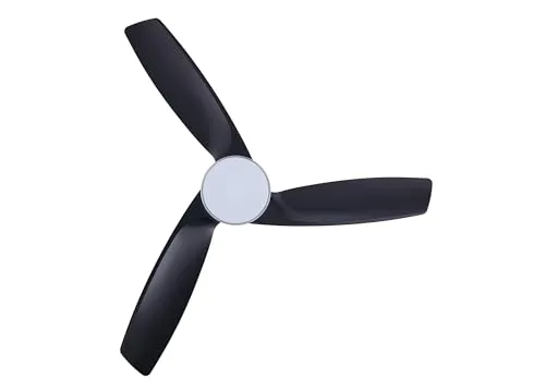 LUCCI AIR Bronx 5