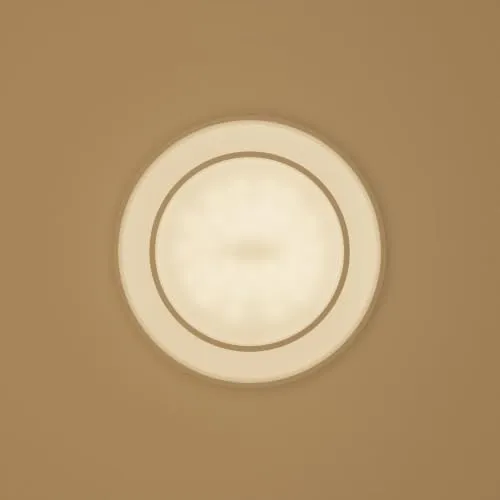 LUMIÈRE Design Aurelia 2