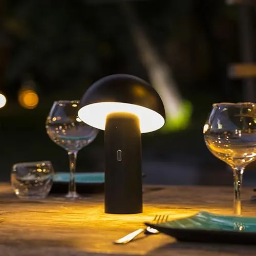 Lumisky LUMIJARDIN 2