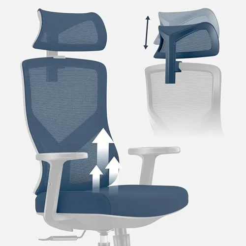 MARK ADLER Manager 3.3 7