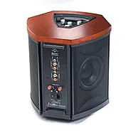 Martin Logan Depth I 2