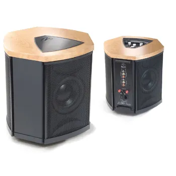 Martin Logan Descent i